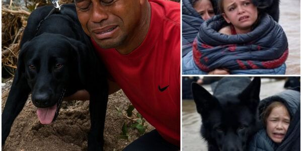 MIRACLE UPDATE! Heroic K9 Dog and Police Officer Save Girl Swept 20 Miles Away by Floodwaters in Texas — Tiger Woods Breaks in Tears as Heroic Dog Rescues Girl in Floodwaters — and Makes a Decision That Will Make Everyone Choke Up