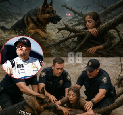 NASCAR legend Dale Earnhardt Jr. has announced a $2 million donation to K9 Dog, following video of K9 Dog and local police rescuing a girl who was swept 32km downstream by raging floodwaters at a Texas summer camp.