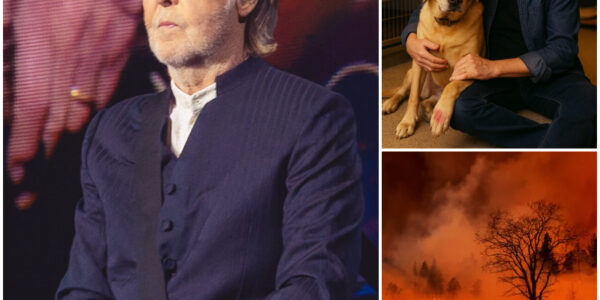 SAD NEWS: "I SAW THE SMOKE AND FELT THE PAIN”: PAUL McCARTNEY BREAKS SILENCE, ADOPTS ORPHANED CHILD AFTER GRAND CANYON WILDFIRE.