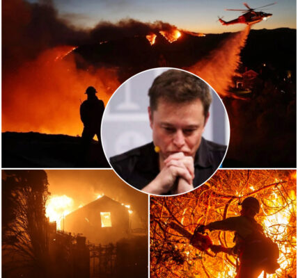 A HEART OF IRON CAN CRY: Elon Musk Quietly Adopts a Boy Orphaned in the Grand Canyon Fire