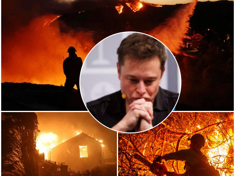 A HEART OF IRON CAN CRY: Elon Musk Quietly Adopts a Boy Orphaned in the Grand Canyon Fire