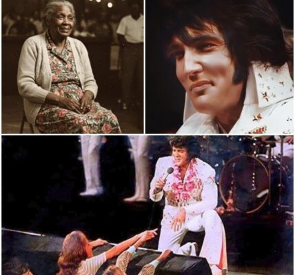 Elvis Presley Was Stunned Mid-Show When He Heard His Childhood Nickname — But What Truly Shook Him Was Who Said It