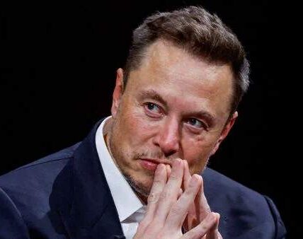 Elon Musk’s Quiet Mission: How a Billionaire’s $5M Gift is Saving Four-Legged Lives After the Grand Canyon Wildfires