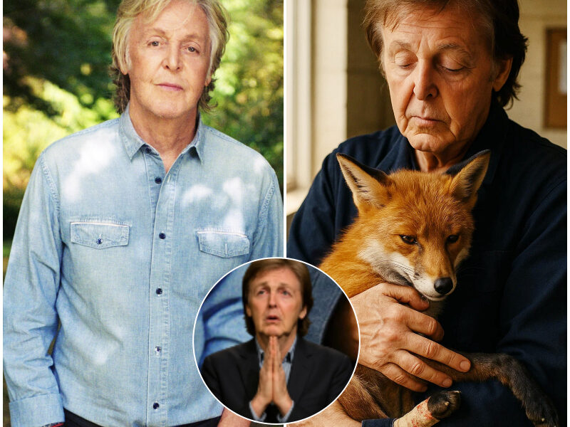 Paul McCartney Quietly Saves Wildlife Rescue Center From Bankruptcy: “They Deserve a Home Too”