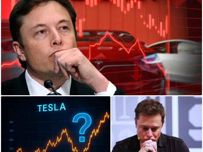 The Long Slide of Tesla: Temporary Crisis or Turning Point of Destiny?