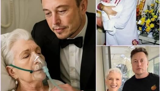 SAD NEWS: 15 Minutes Ago in Edmonton, Canada, at the Age of 77, Elon Musk’s Mother Just Announced Urgent News to Her Followers