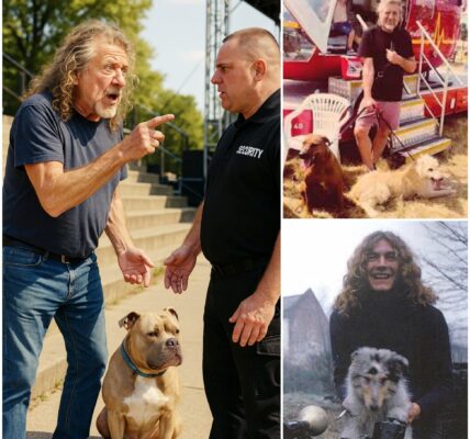 Robert Plant Once Tried to Bring His Dog Onstage—But Security Thought It Was a Pitbull and Blocked It