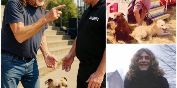 Robert Plant Once Tried to Bring His Dog Onstage—But Security Thought It Was a Pitbull and Blocked It