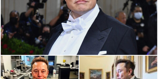 A 10-Second Apology Just Made Elon Musk $191 MILLION — Here’s How One Brief Statement Turned Into a Windfall