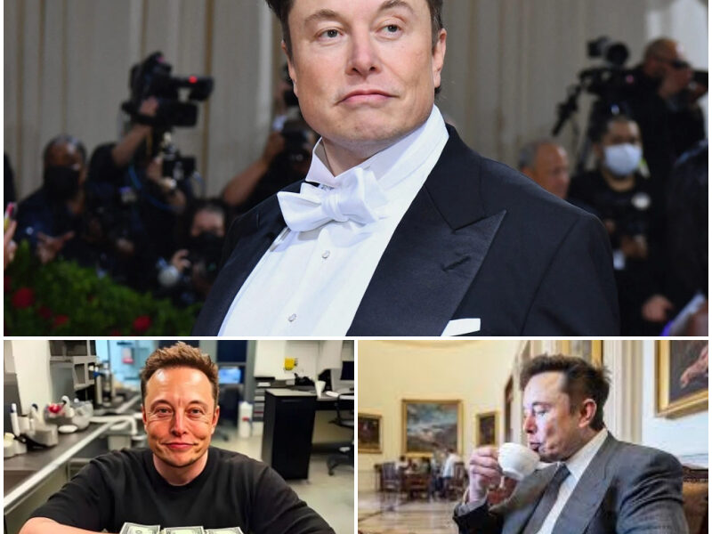 A 10-Second Apology Just Made Elon Musk $191 MILLION — Here’s How One Brief Statement Turned Into a Windfall