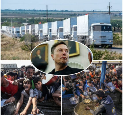 Breaking: "Elon Musk Quietly Brings Aid to Gaza – No Logos, No Media, Just Hope"