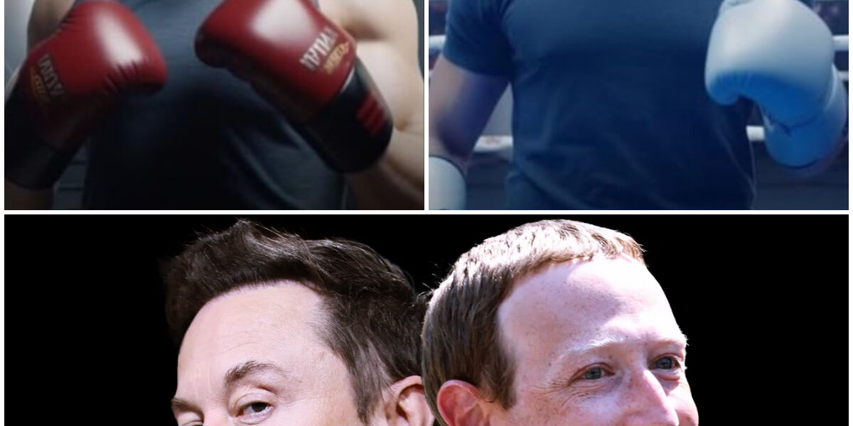 “THE FIGHT OF THE CENTURY: Elon Musk vs. Mark Zuckerberg – No Rules, No Limits, No Turning Back. The World Holds Its Breath!”