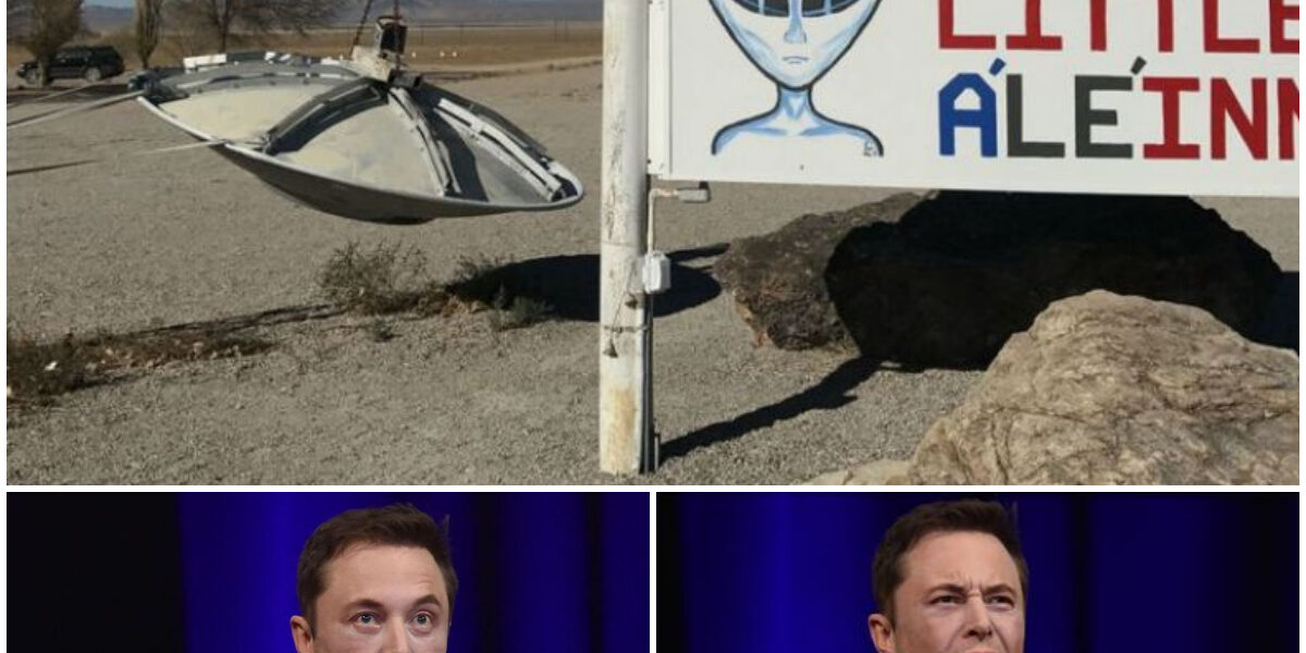 Elon Musk Spent $11 Million to Stop an 'Alien' Raid That Never Happened, What's the Truth Behind the Story?