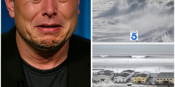 SHOCKING HEARTBREAK ON LIVE TV: Elon Musk Breaks Down in Tears Over Family Tragedy in Hawaii Tsunami — “I Couldn’t Save Them,” He Whispers as America Watches in Silence