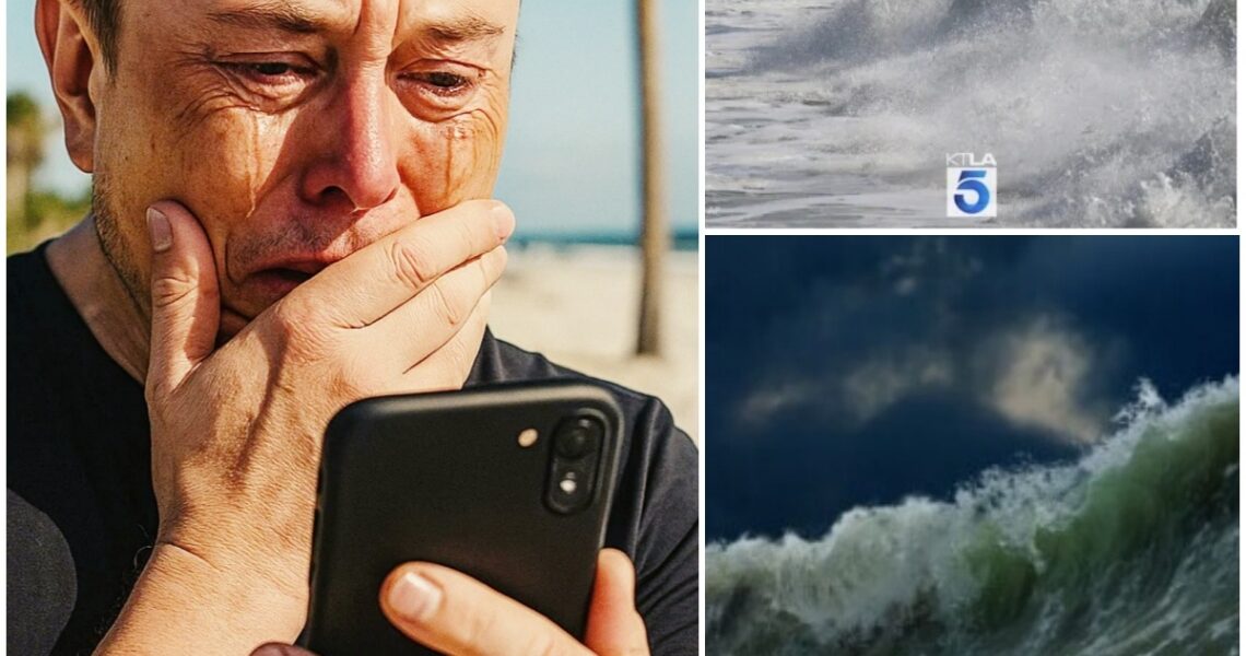 The Visionary Silenced: Elon Musk’s On-Air Breakdown Amid Hawaii Tsunami Tragedy.