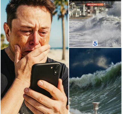The Visionary Silenced: Elon Musk’s On-Air Breakdown Amid Hawaii Tsunami Tragedy.