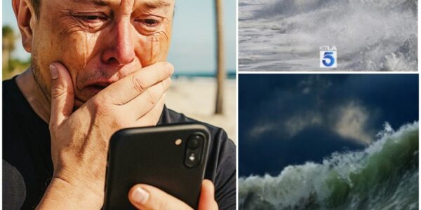 The Visionary Silenced: Elon Musk’s On-Air Breakdown Amid Hawaii Tsunami Tragedy.