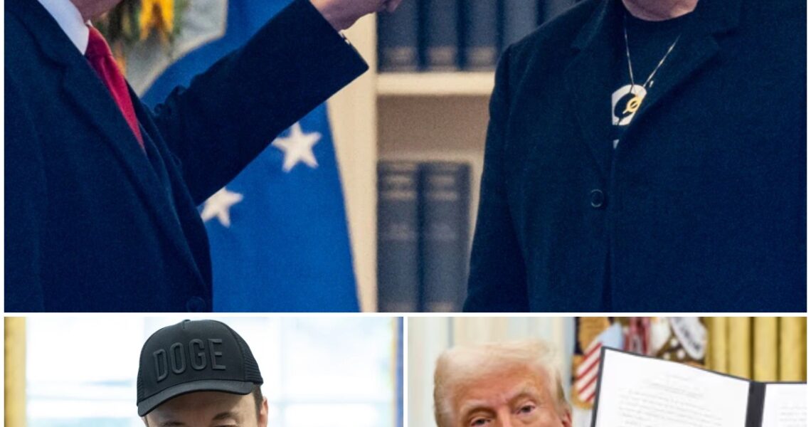 "BREAKING: Elon Musk Banned from the U.S. After Executive Order Signed – What Happened?"