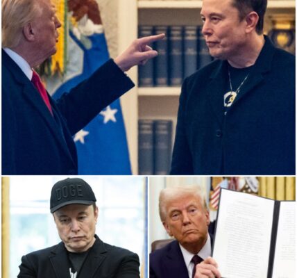 "BREAKING: Elon Musk Banned from the U.S. After Executive Order Signed – What Happened?"