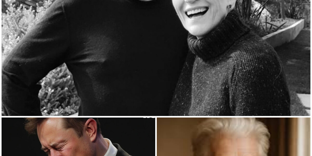 A Horrible Incident Happened to Maye Musk at 77: The Incident Left Us All Speechless - But Elon Musk's Latest Action Has Surprised Everyone.