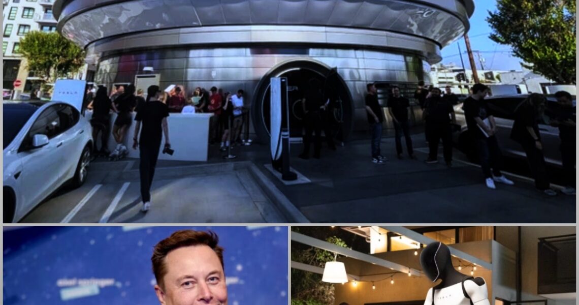 "Ready for the Future? Elon Musk Unveils the First 100% Robot-Served Restaurant in the US Capital – And the Price Will Shock You!"