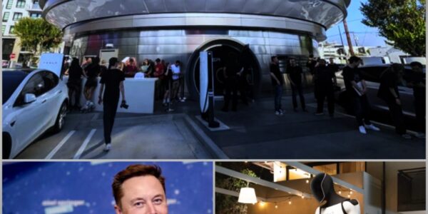 "Ready for the Future? Elon Musk Unveils the First 100% Robot-Served Restaurant in the US Capital – And the Price Will Shock You!"