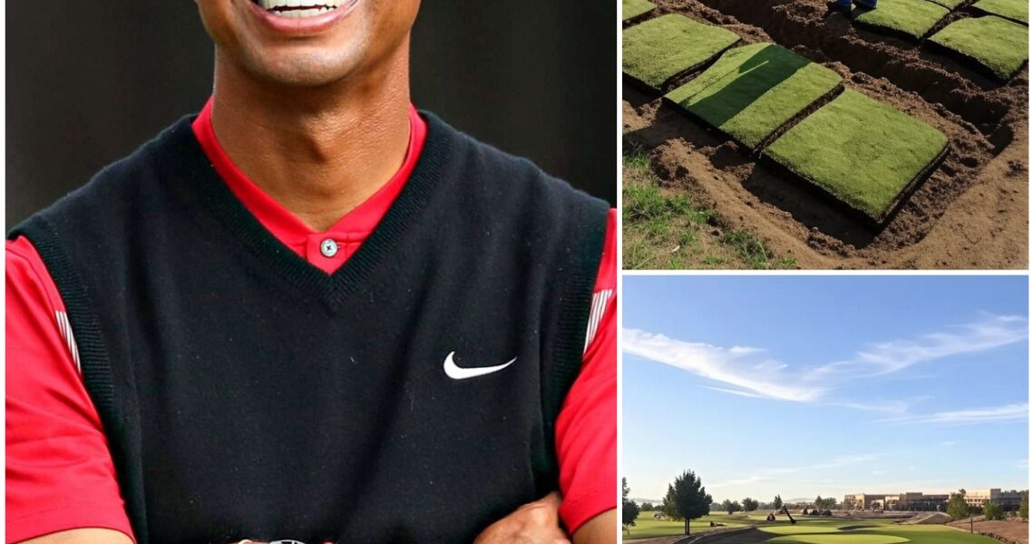 GOOD NEWS: Tiger Woods quietly donated over $3 million to build a world-class golf facility at his former high school — the same school that once offered him free range time when his family struggled. “Without those early days here, I wouldn’t be who I am,” Woods shared with a grateful smile. ⛳💛