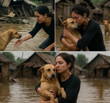 She Wasn’t Wearing a Gown—She Was Covered in Mud: Angelina Jolie Spotted Far From Hollywood, Cradling Abandoned, Shaking Dogs in the Rubble — No Red Carpet, No Cameras, Just a Quiet Act of Compassion That’s Breaking Hearts Around the World!