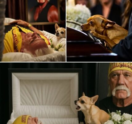 Final Farewell to a Legend: Hulk Hogan Laid to Rest, Loyal Chihuahua Offers Silent Tribute That Leaves Mourners in Tears