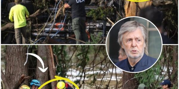 LET'S GO HOME: Paul McCartney’s Rescue Team Finds the Final Body in Heartbreaking Discovery Near Mystic Summer Camp