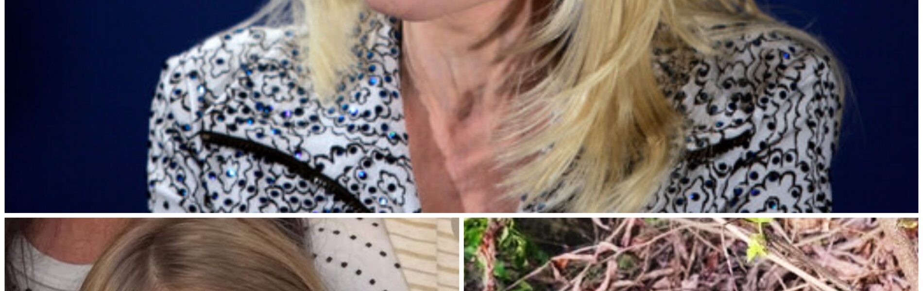 Dolly Parton and the Heartfelt Promise to Cile Steward’s Family: A Story of Hope Amid Tragedy