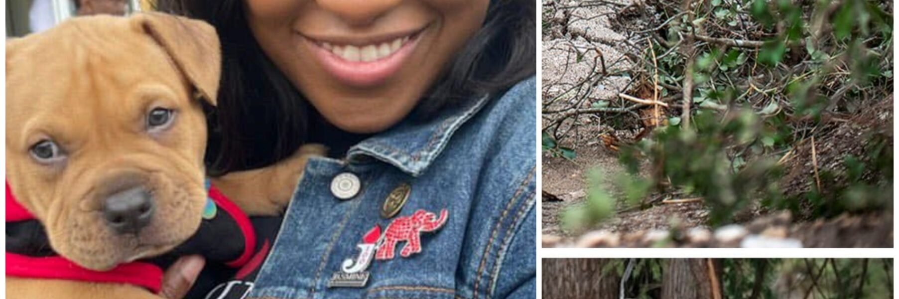 HEARTBREAKING: Jasmine Crockett Confirms Her K9 Partner Major Has Died in the Line of Duty — “He Gave Everything”