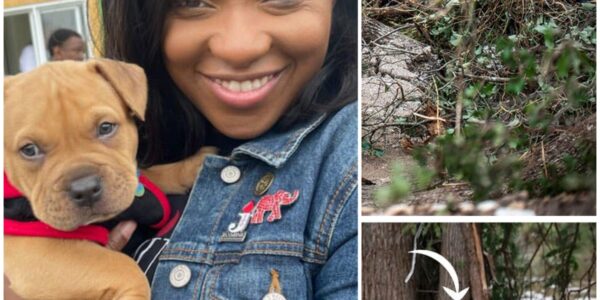 HEARTBREAKING: Jasmine Crockett Confirms Her K9 Partner Major Has Died in the Line of Duty — “He Gave Everything”