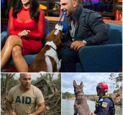 WARMTH IN SILENCE: No Press, No Media, Just Joe Gorga and His Dog Searching for Missing Victims in Texas to Fulfill a Final Promise...