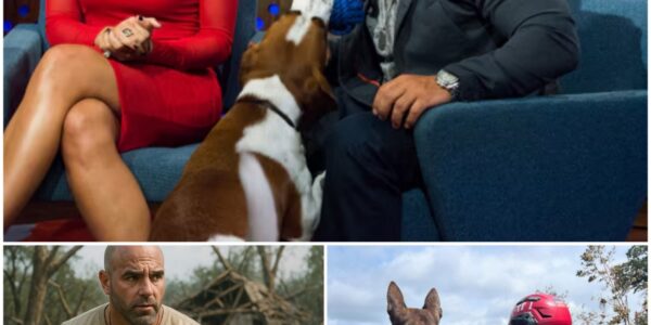 WARMTH IN SILENCE: No Press, No Media, Just Joe Gorga and His Dog Searching for Missing Victims in Texas to Fulfill a Final Promise...