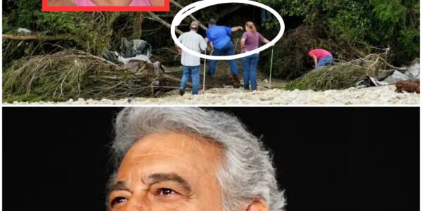 Plácido Domingo’s Quiet Vigil for Cô Bé Cile Steward — A Heartbreaking Promise Amid Tragedy