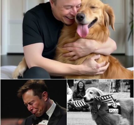 HEARTBREAKING: Elon Musk has made a heartbreaking announcement that has left fans in tears, shocked and in disbelief...
