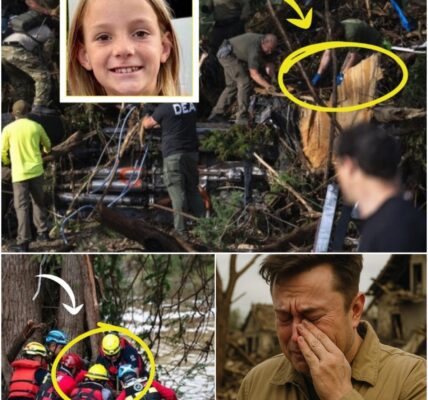 LET'S GO HOME: The rescue team led by ELon Musk raised the alarm while clearing a tree stump 6km from Mystic summer camp, below is the last body of the unfortunate girl, the condition of her body shocked her parents - Elon Musk cried and prayed because he kept his promise...see close-up below