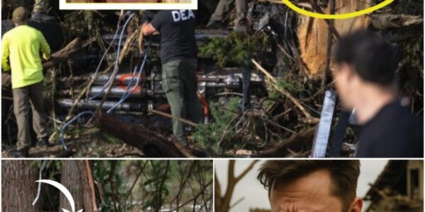 LET'S GO HOME: The rescue team led by ELon Musk raised the alarm while clearing a tree stump 6km from Mystic summer camp, below is the last body of the unfortunate girl, the condition of her body shocked her parents - Elon Musk cried and prayed because he kept his promise...see close-up below