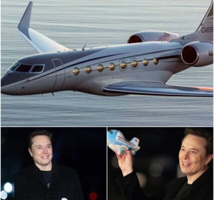 "SHOCKING ANNOUNCEMENT: Elon Musk Unveils Plan to Create the World’s First Fully Robot-Operated Airplane!"