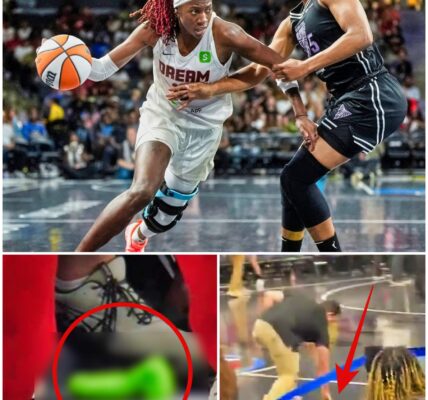 WNBA Fan Who Threw Naughty Toy Onto Court Has Been Identified, Facing Several Ugly Charges That You Don't Want On Your Record