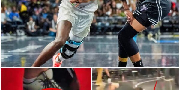 WNBA Fan Who Threw Naughty Toy Onto Court Has Been Identified, Facing Several Ugly Charges That You Don't Want On Your Record