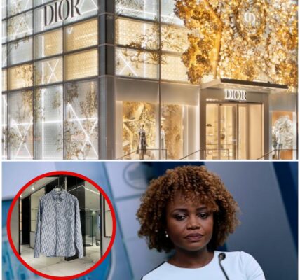 BREAKING: Dior Employees MOCKED a “Regular” Woman at the Door — 48 Hours Later, They Found Out It Was KARINE JEAN-PIERRE… and Now the ENTIRE MLB Is Coming for Them!