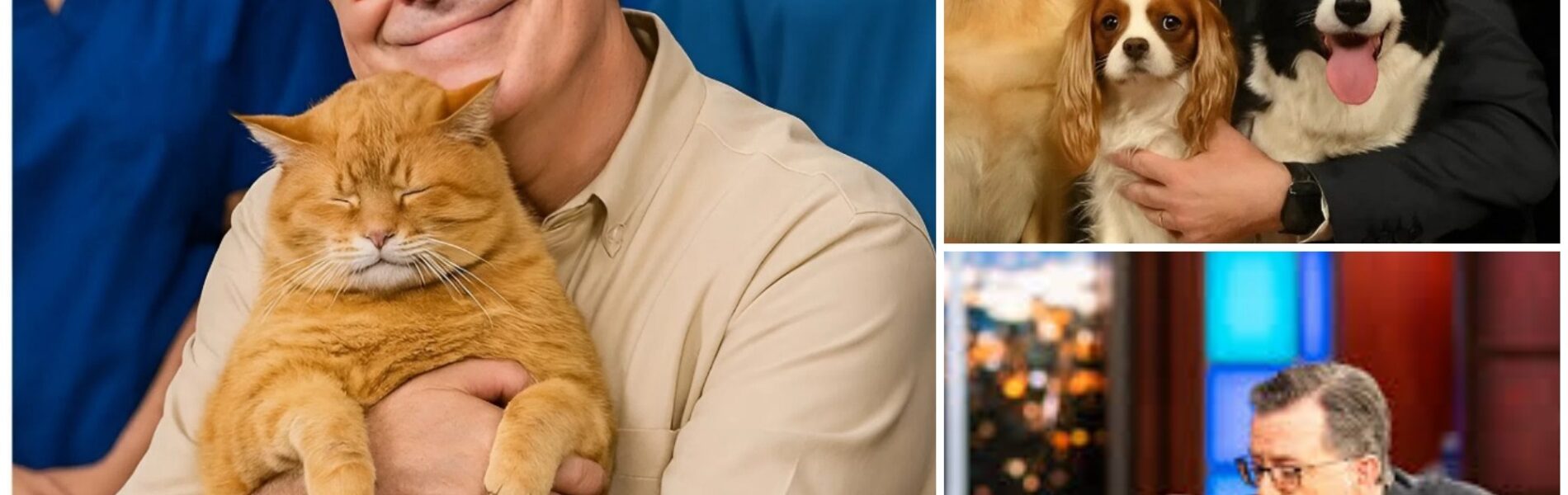 BREAKING NEWS: Stephen Colbert sets the internet ablaze with a heartwarming announcement, revealing plans to invest $10 million into building a “paradise” for stray dogs and cats.