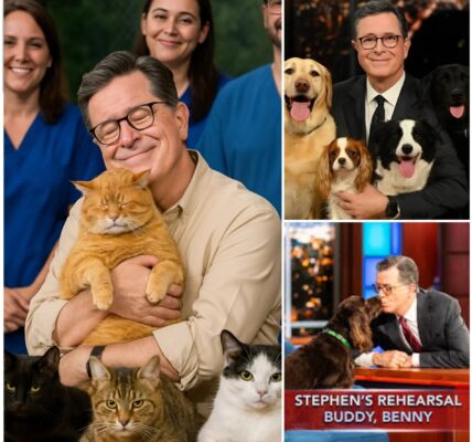 BREAKING NEWS: Stephen Colbert sets the internet ablaze with a heartwarming announcement, revealing plans to invest $10 million into building a “paradise” for stray dogs and cats.