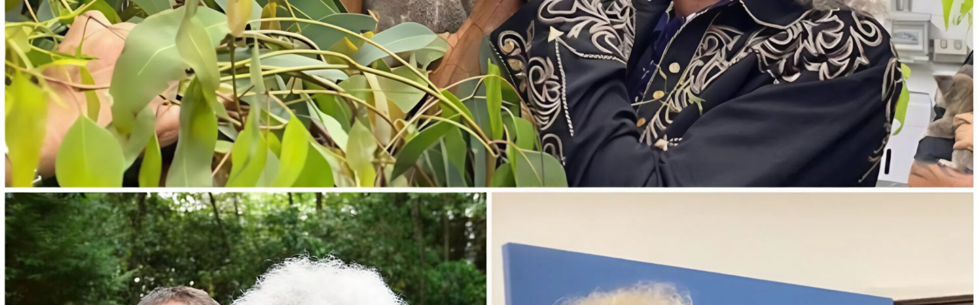Brian May: The Rock Legend Behind a Wildlife Sanctuary