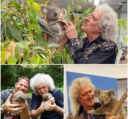 Brian May: The Rock Legend Behind a Wildlife Sanctuary