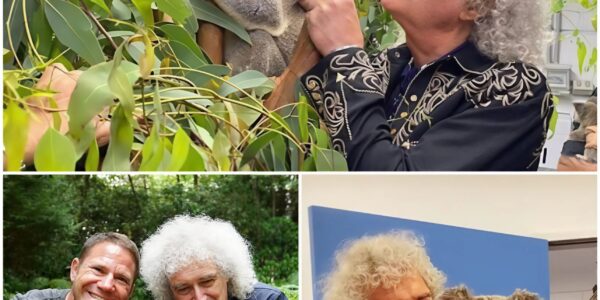 Brian May: The Rock Legend Behind a Wildlife Sanctuary