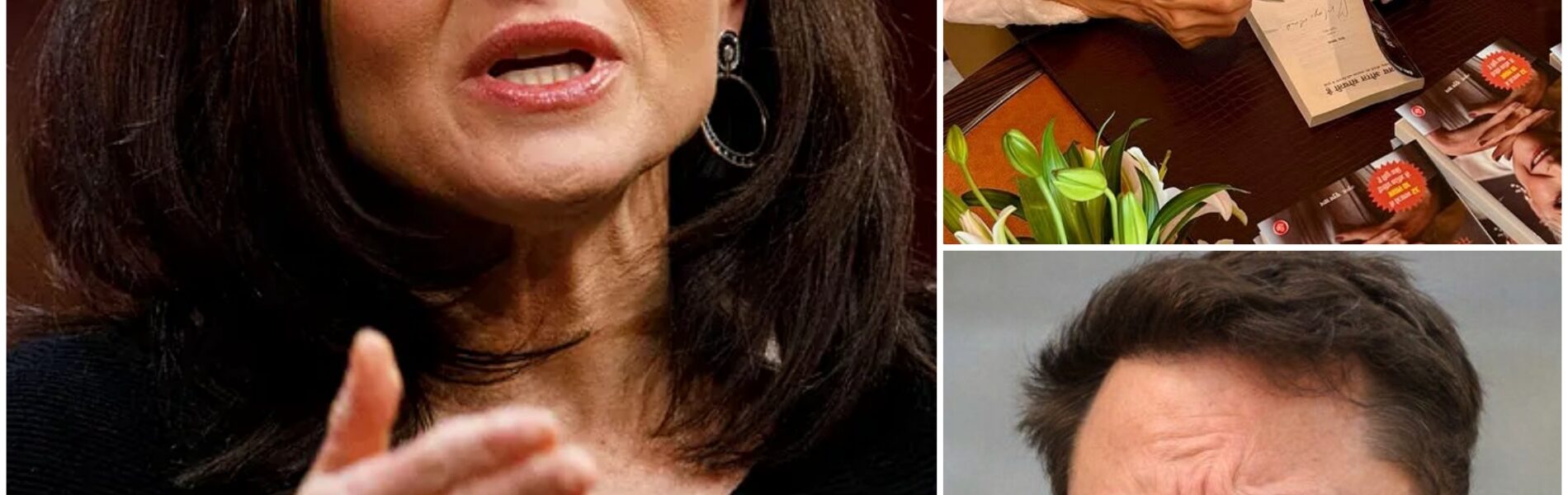 SHOCKING NEWS: "A BOLD ACT OF THEFT!" Sheryl Sandberg Accuses Maye Musk of Plagiarizing 'Lean In' and Selling It at an Exorbitant Price - Elon Musk Immediately Responds Harshly!!!