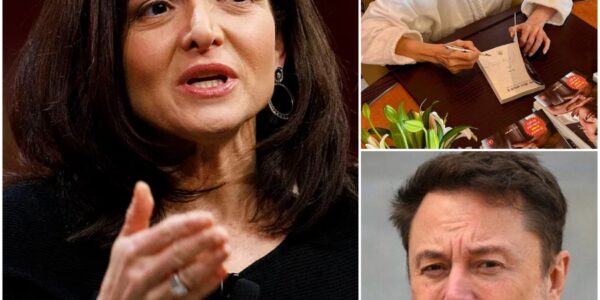 SHOCKING NEWS: "A BOLD ACT OF THEFT!" Sheryl Sandberg Accuses Maye Musk of Plagiarizing 'Lean In' and Selling It at an Exorbitant Price - Elon Musk Immediately Responds Harshly!!!
